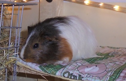Chantal
