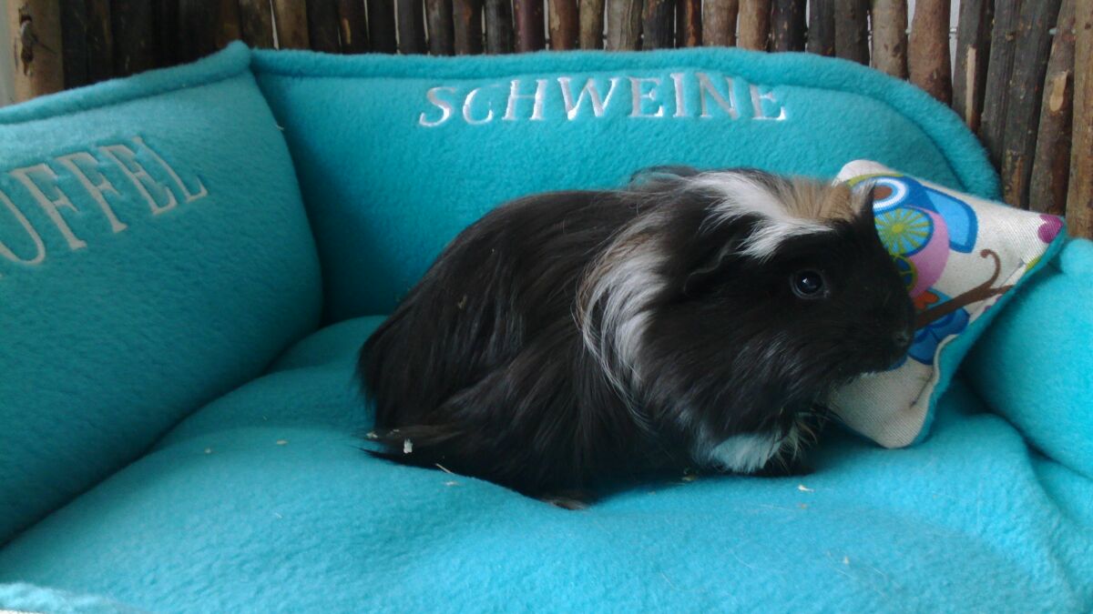 Günther