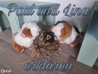 Zwei Eingänge