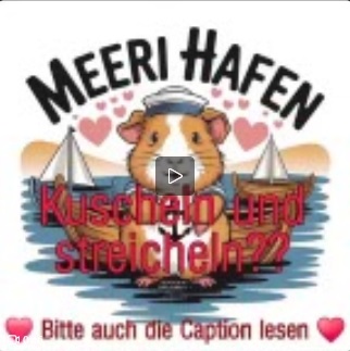 Kuscheln