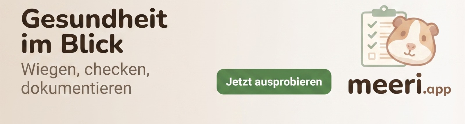 Meeri-App