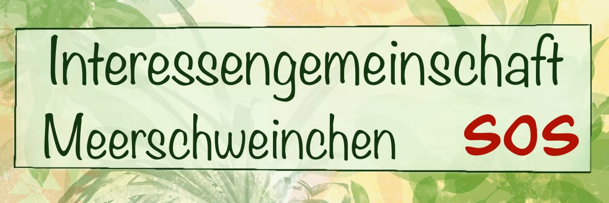 sos_meerschweinchen